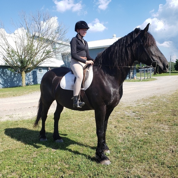 Meet your Posher, Rayna - Picture 1 of 1